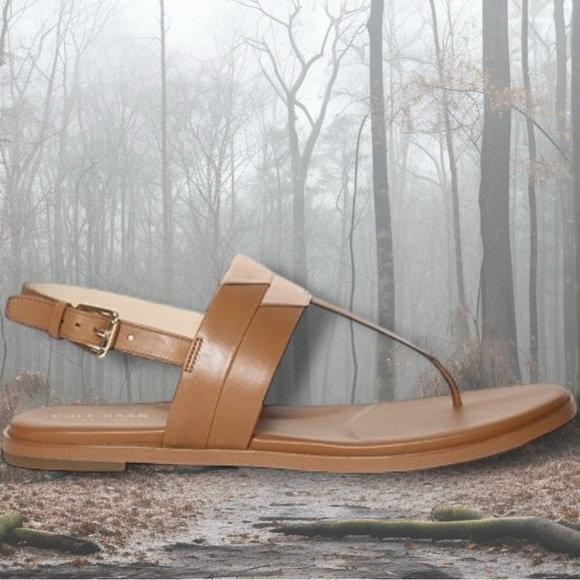 Cole Haan ‘Ainsley Grand T-Strap Sandals’ in Tan & Gold Metallic Leather Size 7 - Picture 2 of 16